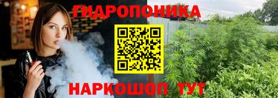 сатива Моздок