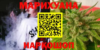 сатива Моздок