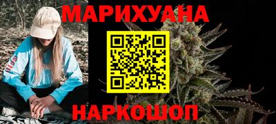 сатива Моздок