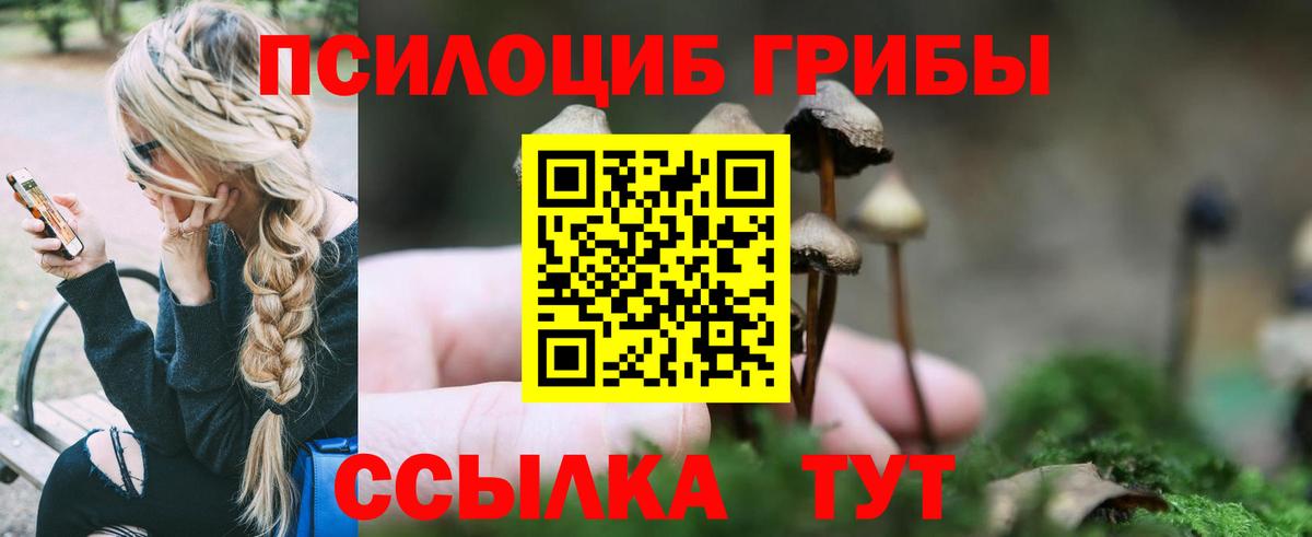 Псилоцибиновые грибы прущие грибы  Псилоцибиновые грибы Magic Shrooms  купить   Вход с VPN  Великий Устюг 